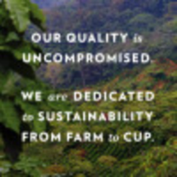 (4 pack) Community Coffee Signature Blend Dark Roast Ground Coffee, 32 Oz, Bag