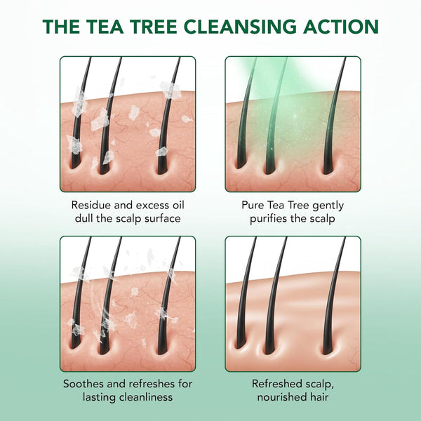 Botanic Hearth Tea Tree Shampoo and Conditioner Set - with 100% Pure Tea Tree Oil, for Itchy and Dry Scalp, Sulfate Free, Paraben Free - for Men and Women - 2 bottles 16 fl oz each